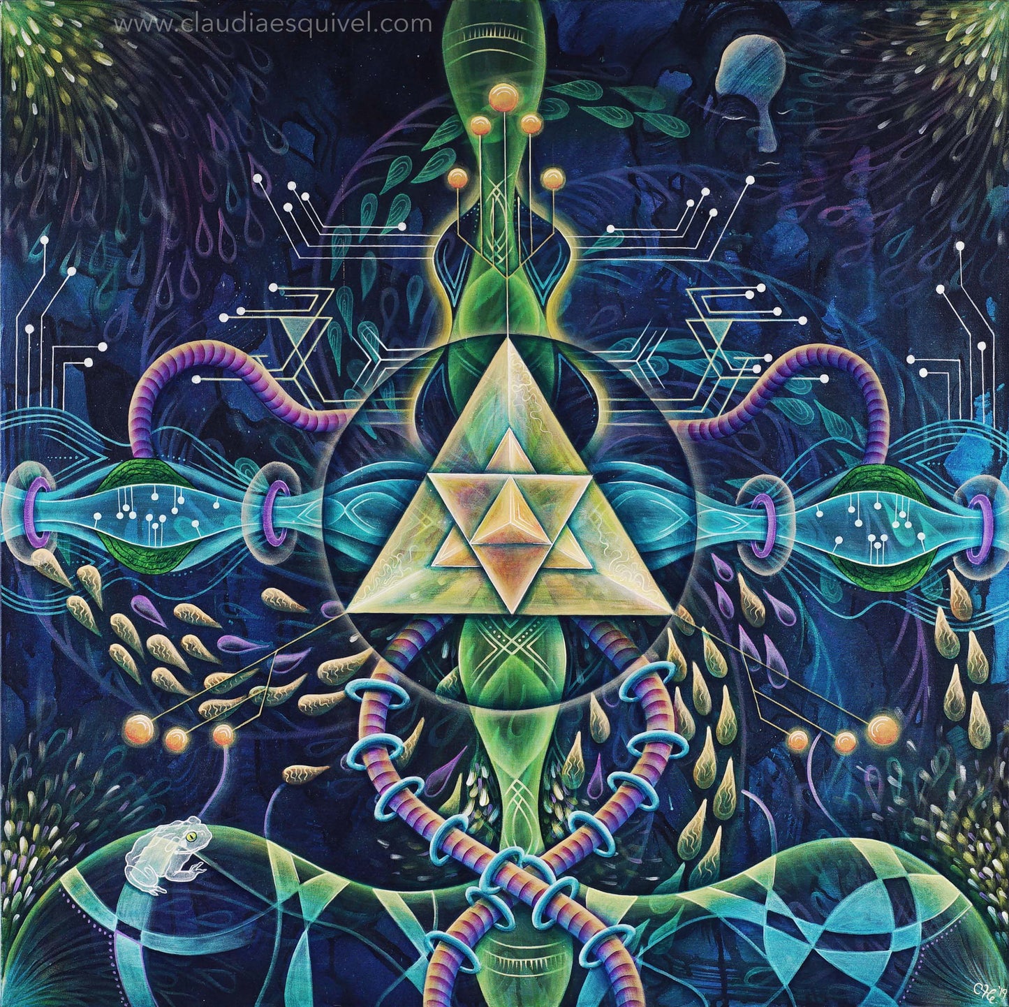 "Bufo Alvarius: Keeper of the Womb Gate"